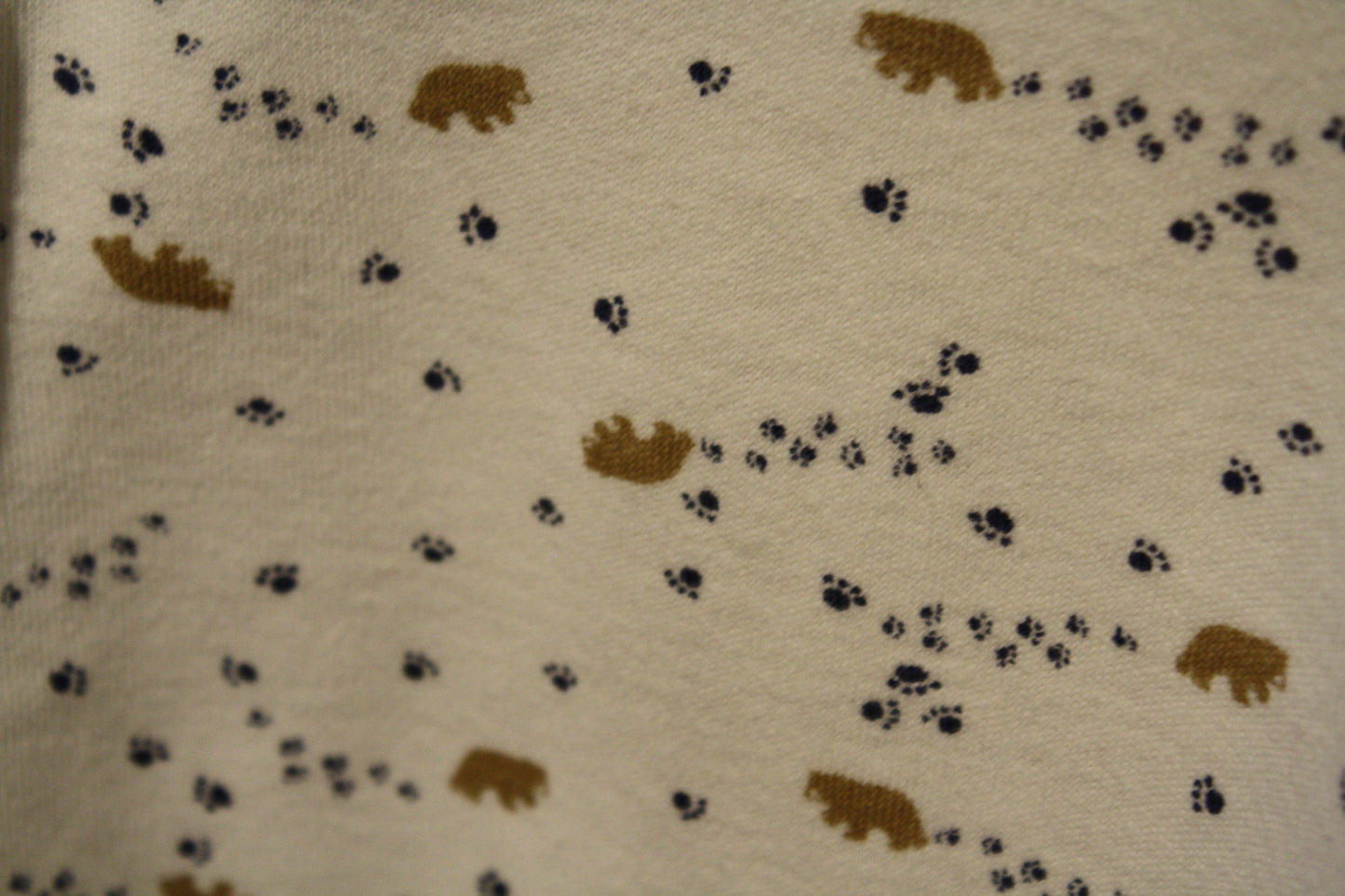 Little Bundle Bear Print Long Sleeve Bodysuit – Size 0–3