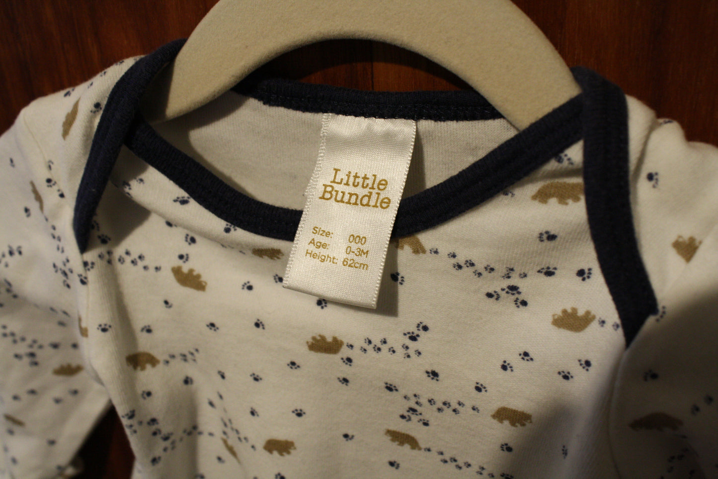 Little Bundle Bear Print Long Sleeve Bodysuit – Size 0–3